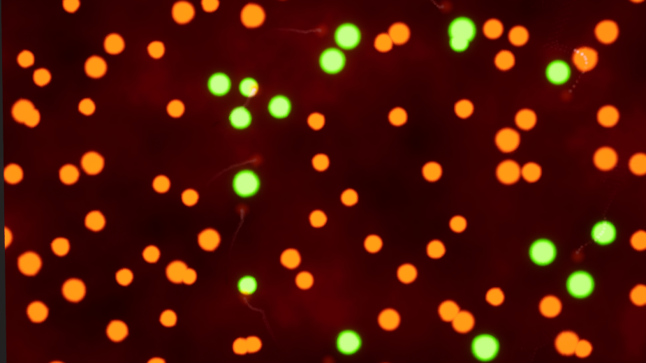 Unveiling Shader Secrets - A Gift for Graphics Developers & Technical Artists