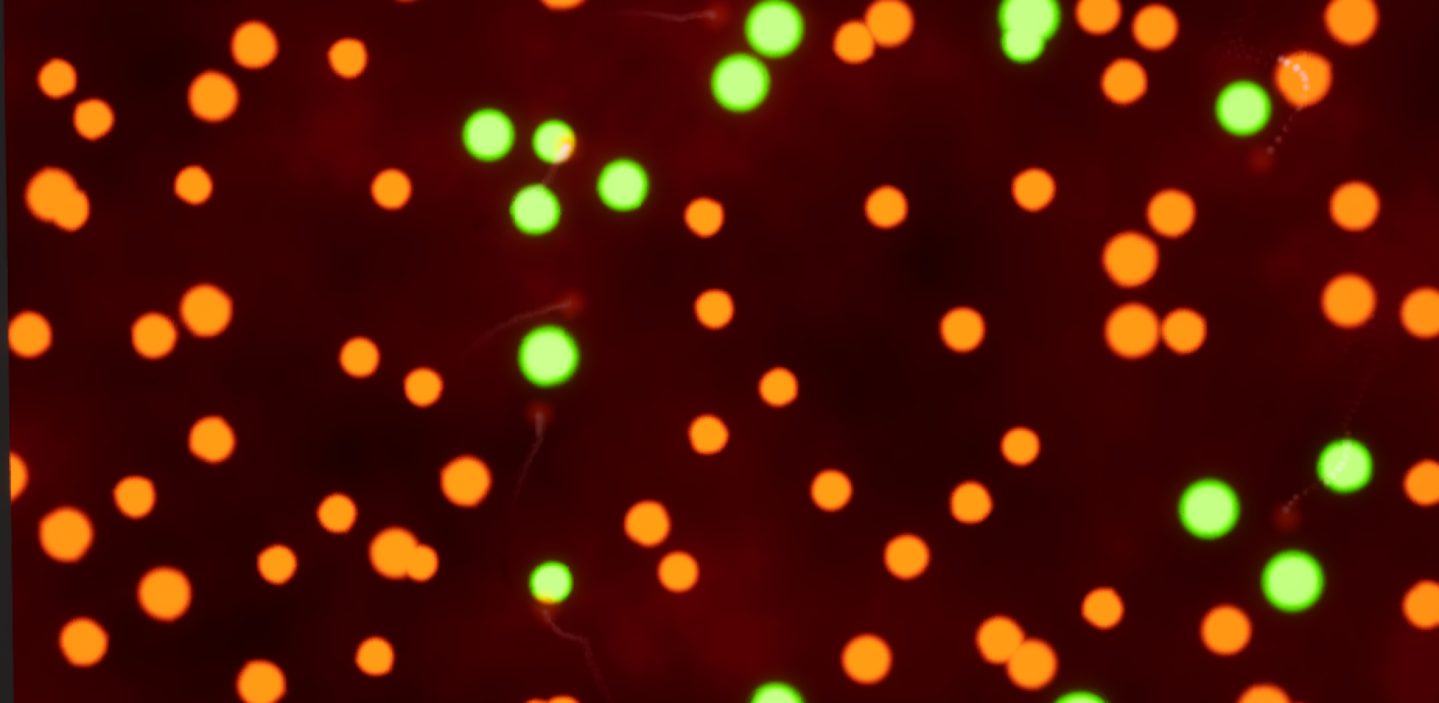 Unveiling Shader Secrets - A Gift for Graphics Developers & Technical Artists